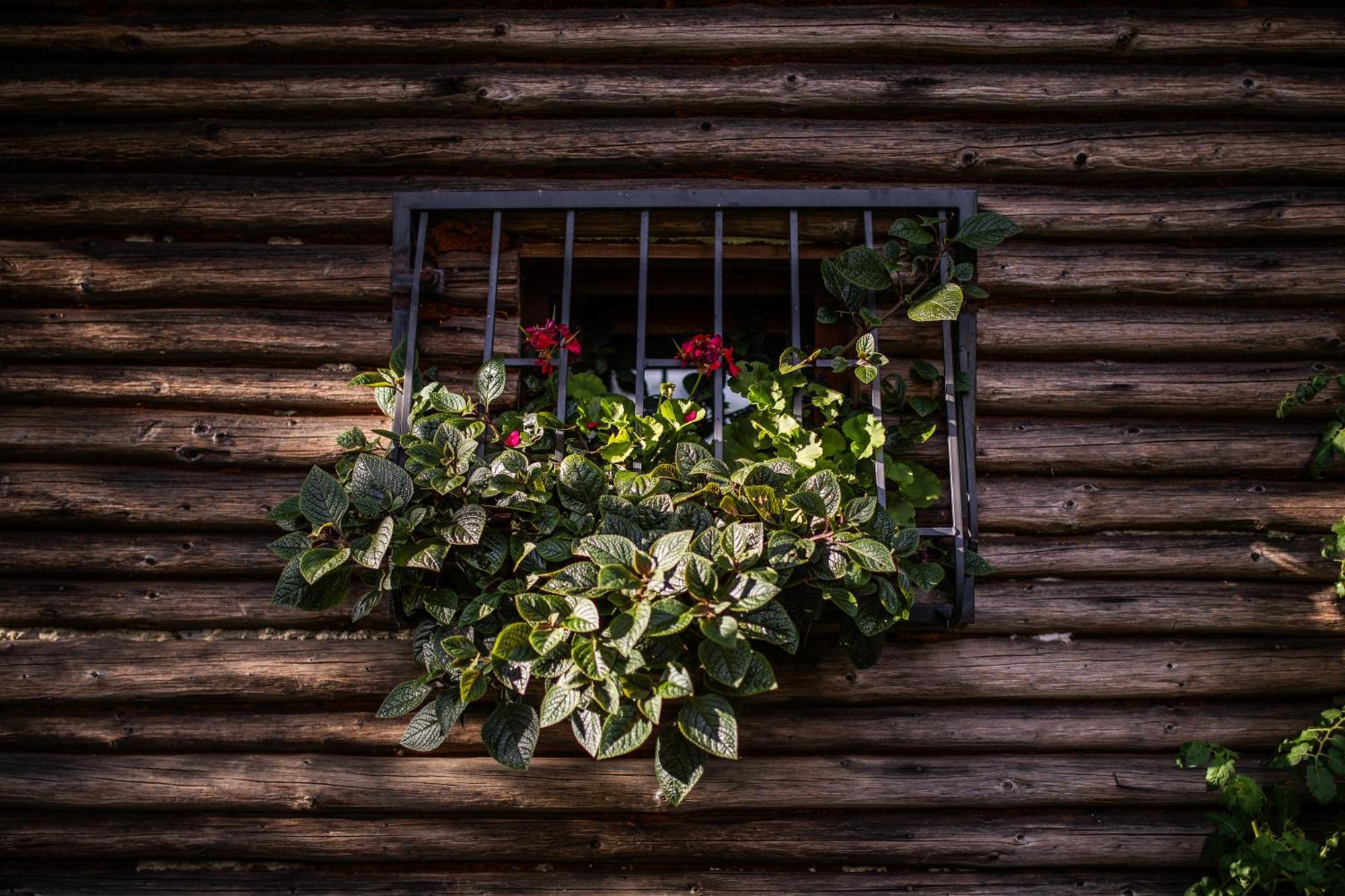 Apartament Ranczo Stare Objezierze Moryn Zewnętrze zdjęcie