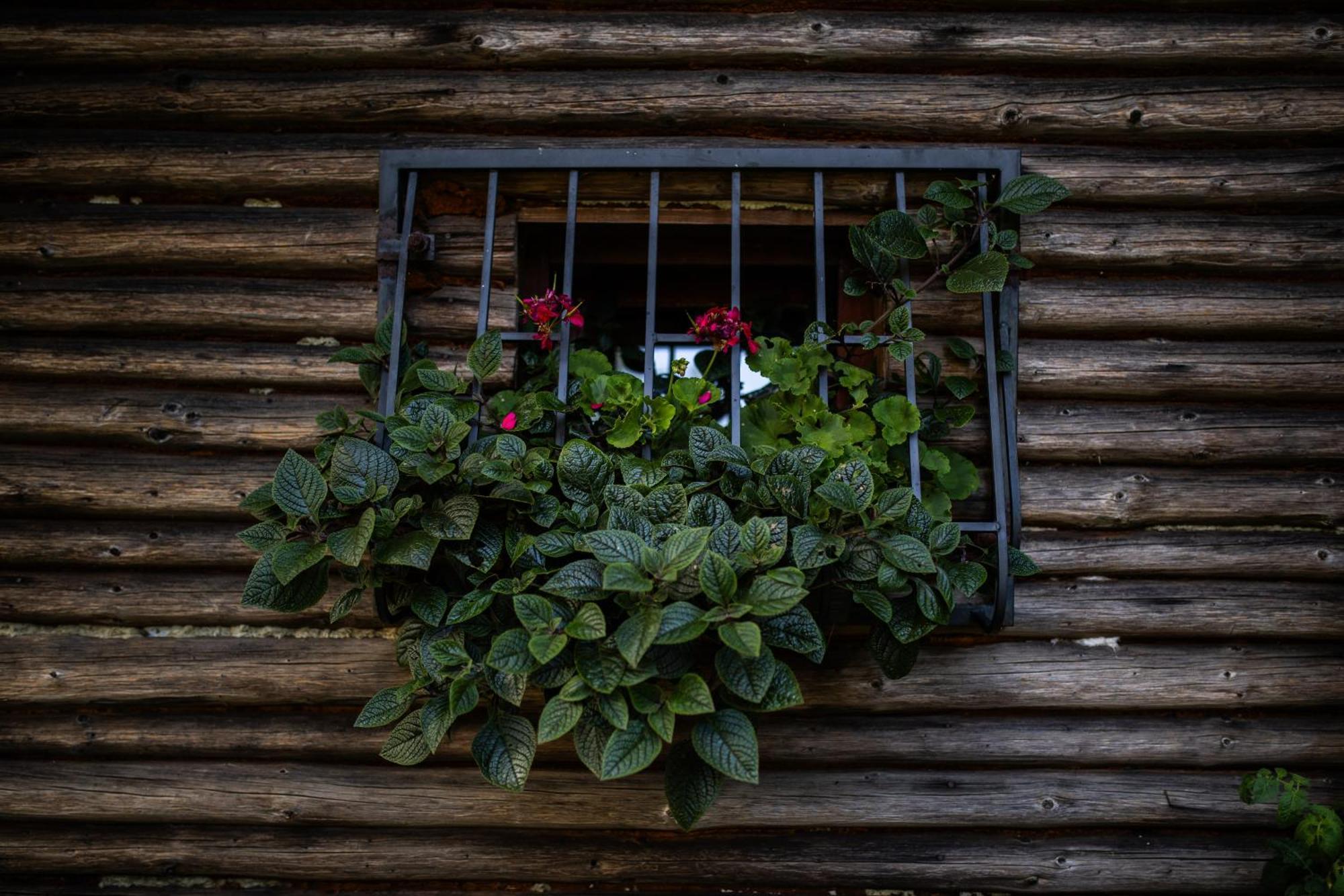 Apartament Ranczo Stare Objezierze Moryn Zewnętrze zdjęcie